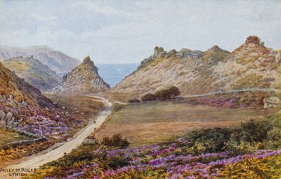 Vallée des Roches, Lynton - Alfred Robert Quinton